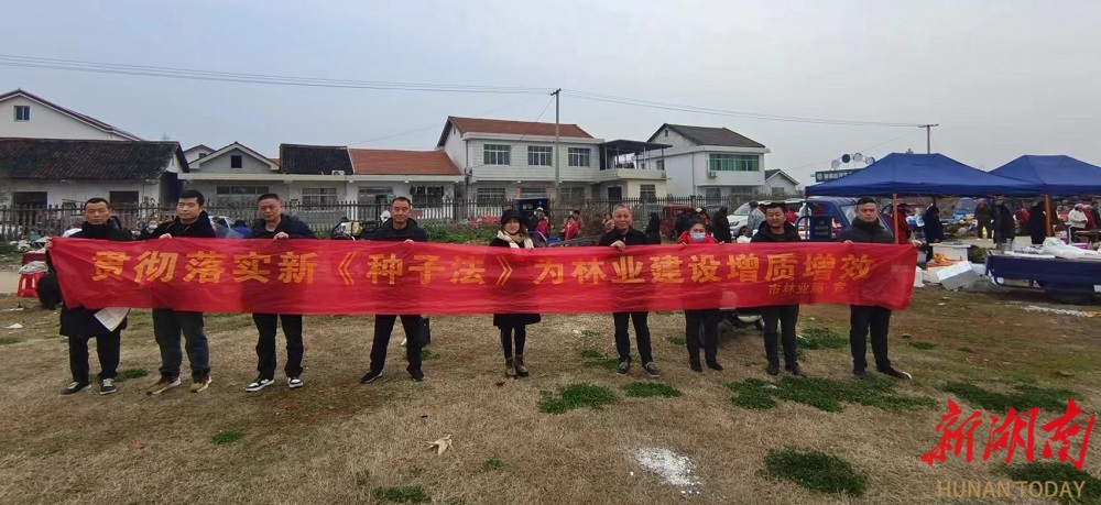 关杨种苗